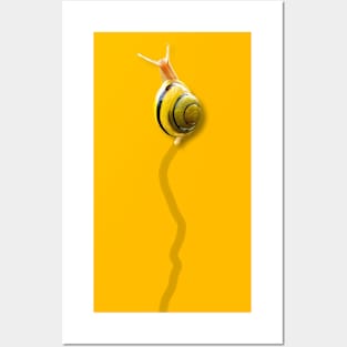 brave snail Posters and Art